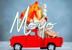 Dayoo - Moyo MP3 DOWNLOAD